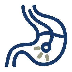 4224 ÔÇô Durham Equine - Icons_Endoscopy