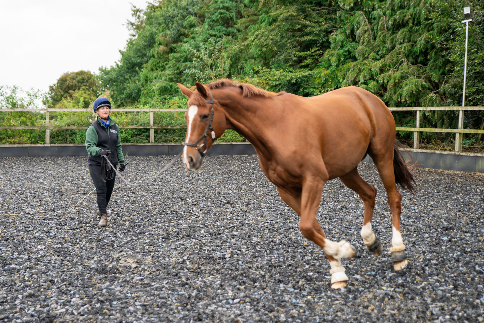 Durham Equine Practice (Web) 033