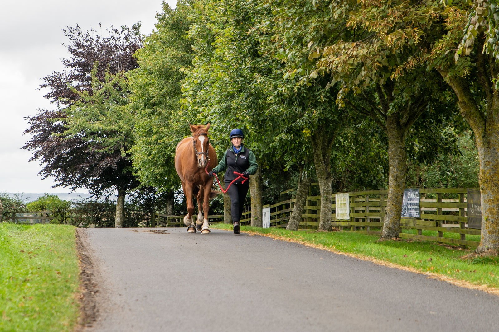 Durham Equine Practice (Web) 050
