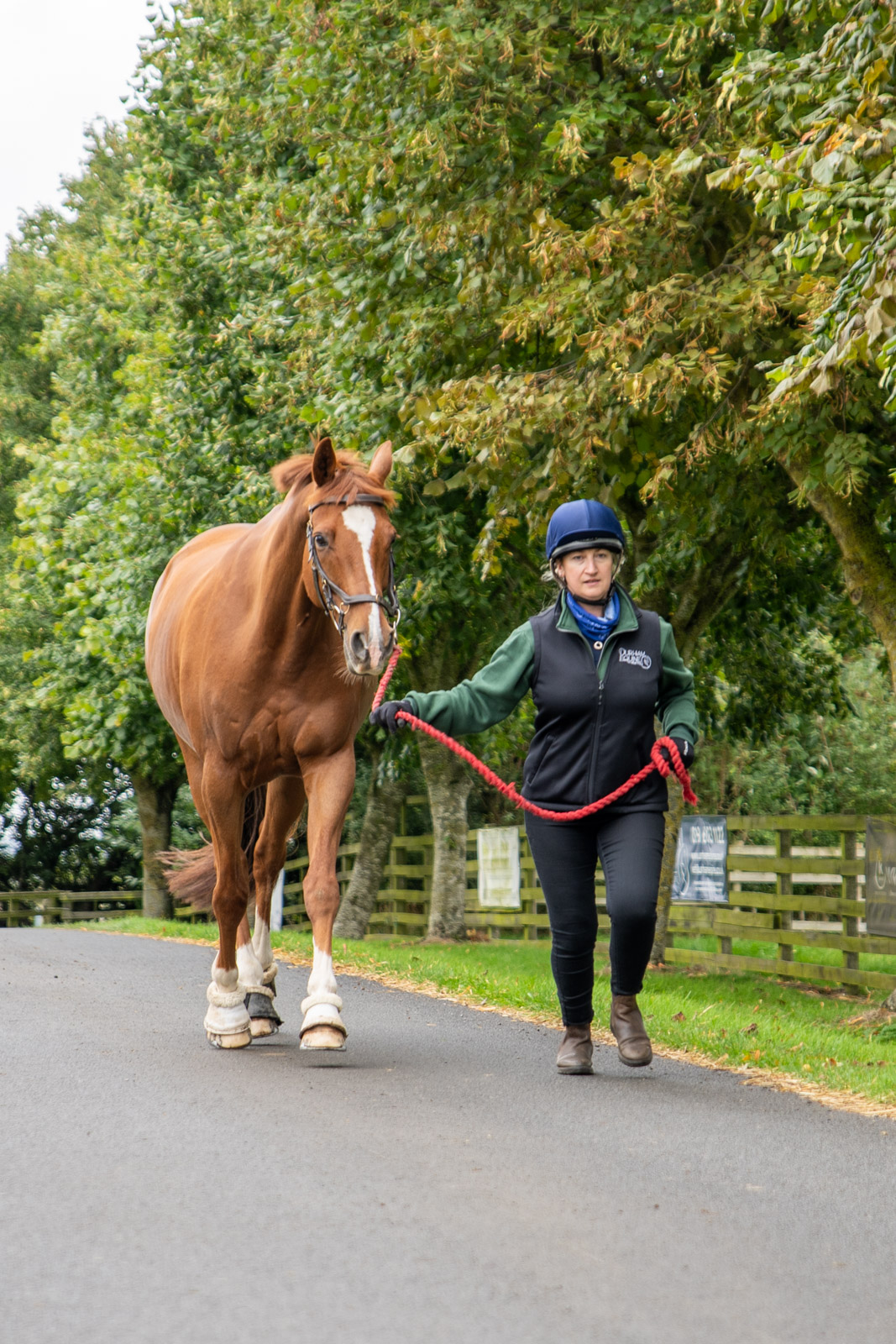 Durham Equine Practice (Web) 053